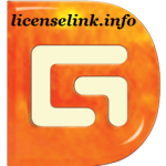 DiskGenius Professional Crack